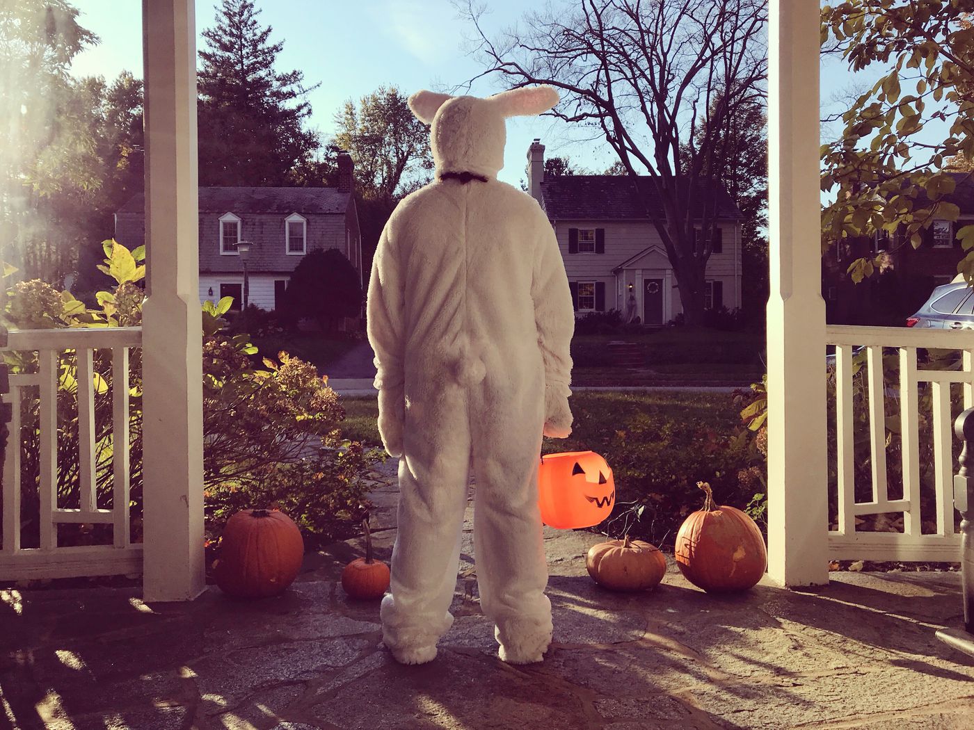 Stock image of a child in a bunny costume Trick-Or-Treating